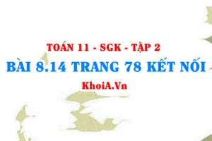 Bài 8.14 trang 78 Toán 11 Kết nối tri thức Tập 2